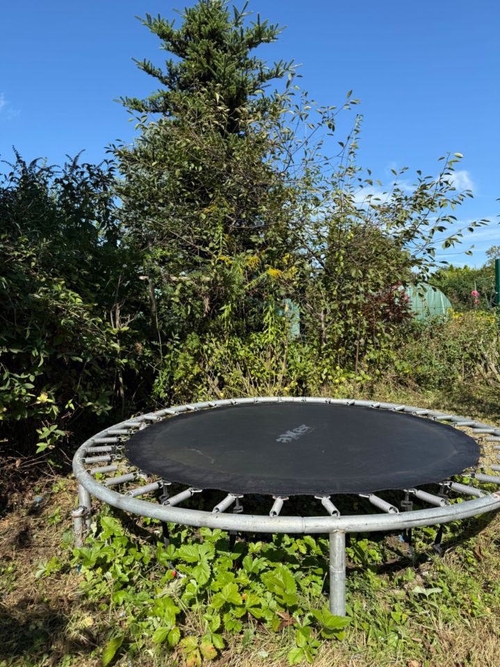 Działka rod Legnica. Zdjęcie 6