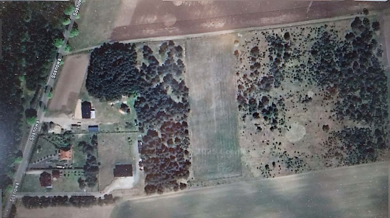 Działka budowlana Kaliska. Zdjęcie 5