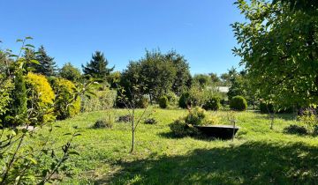 Działka rod Ostrów Wielkopolski