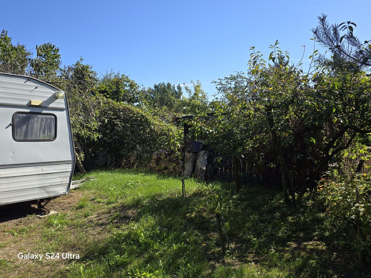 Działka rod Września Centrum, ul. Jana Matejki. Zdjęcie 10
