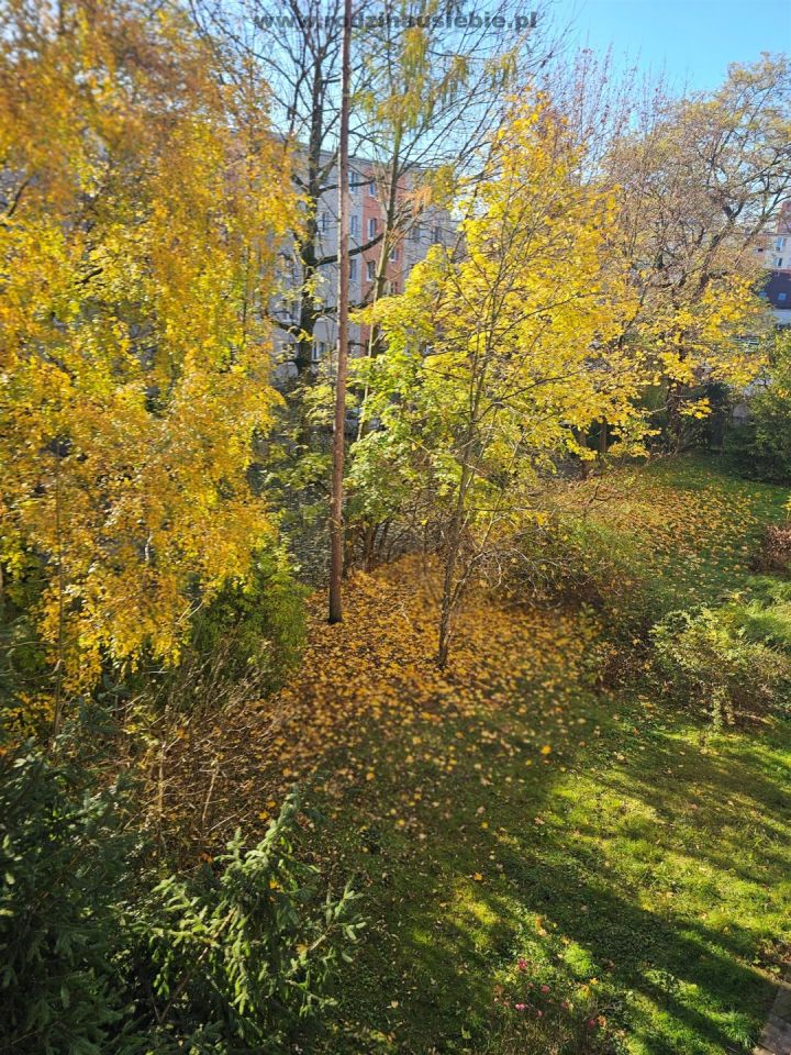 Mieszkanie 2-pokojowe Kraków Krowodrza, ul. Zdrowa. Zdjęcie 13