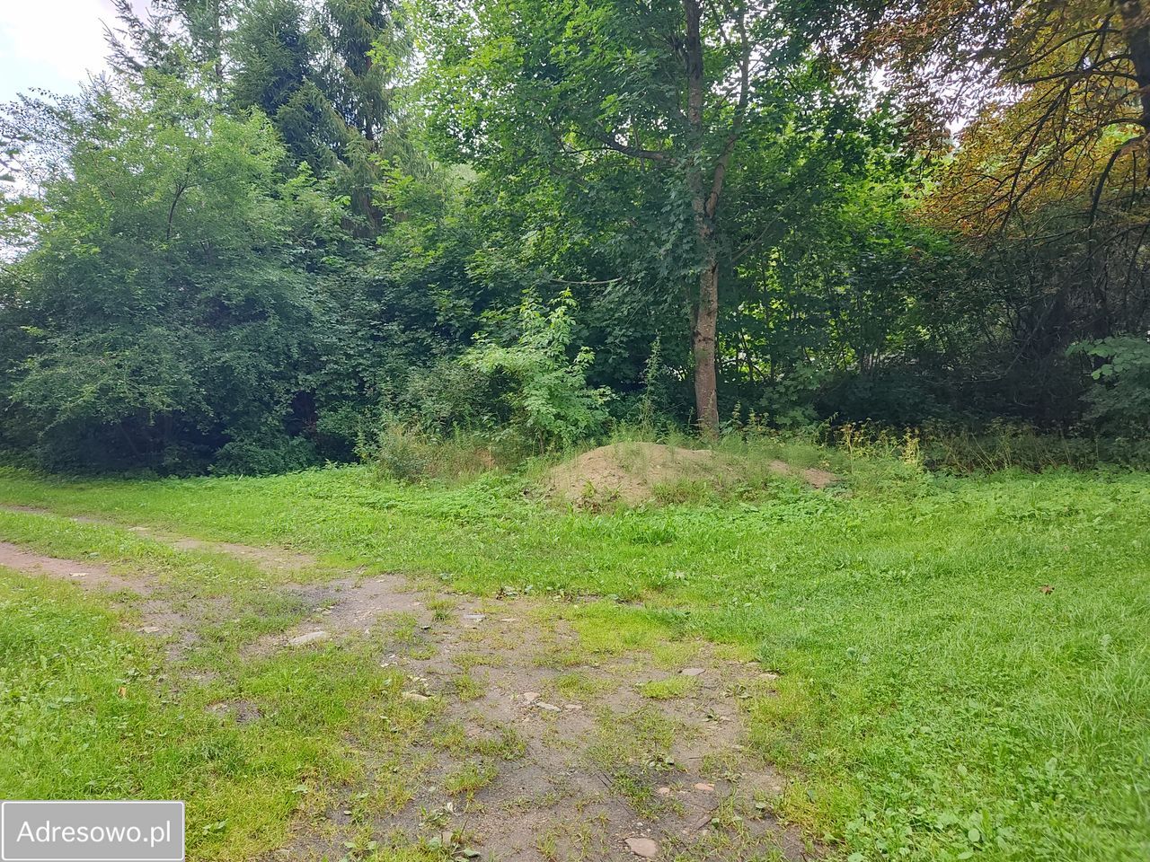 dom wolnostojący, 6 pokoi Bychowo. Zdjęcie 17