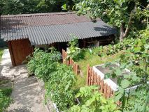 Działka rod Szczecin Golęcino, ul. Pokoju. Zdjęcie 1