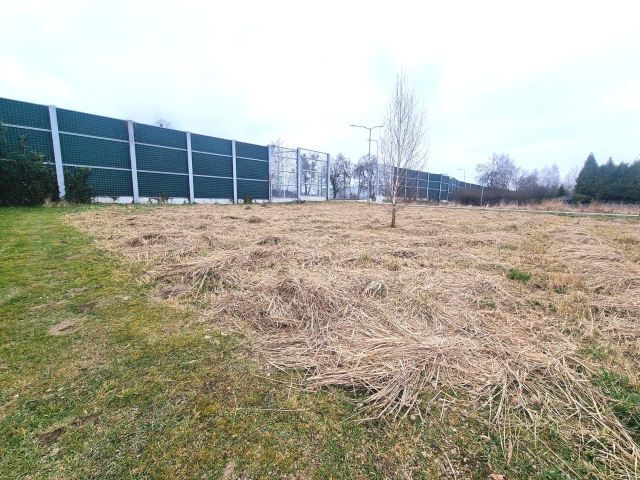 Działka budowlana Warszowice, ul. Kościelna. Zdjęcie 4