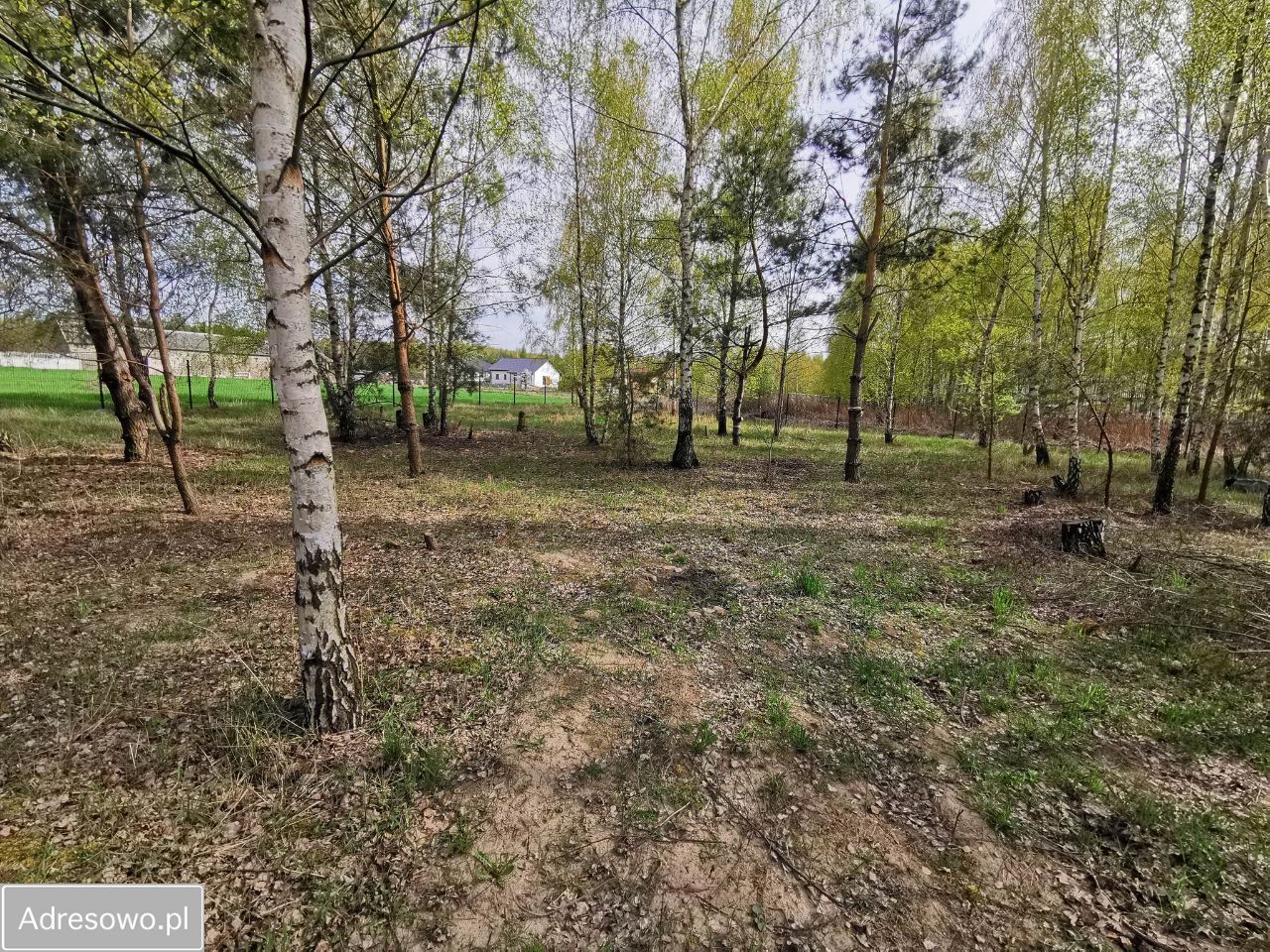 Działka budowlana Załuski. Zdjęcie 2