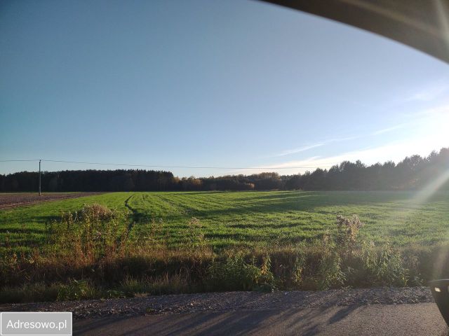 Działka rolno-budowlana Zalesie. Zdjęcie 1