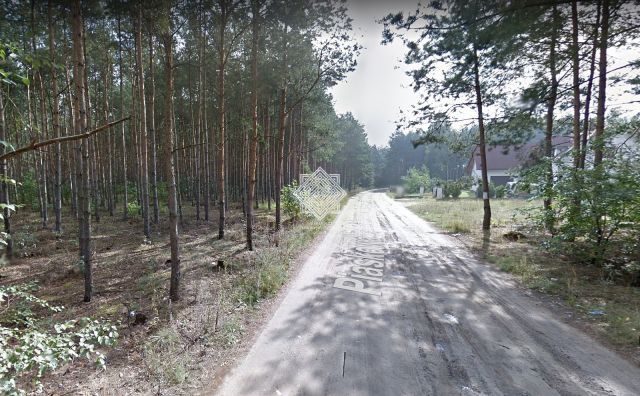 Działka leśna Kuczek. Zdjęcie 9