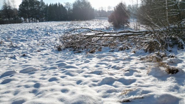 Działka inwestycyjna Libertów, ul. Zgodna. Zdjęcie 14