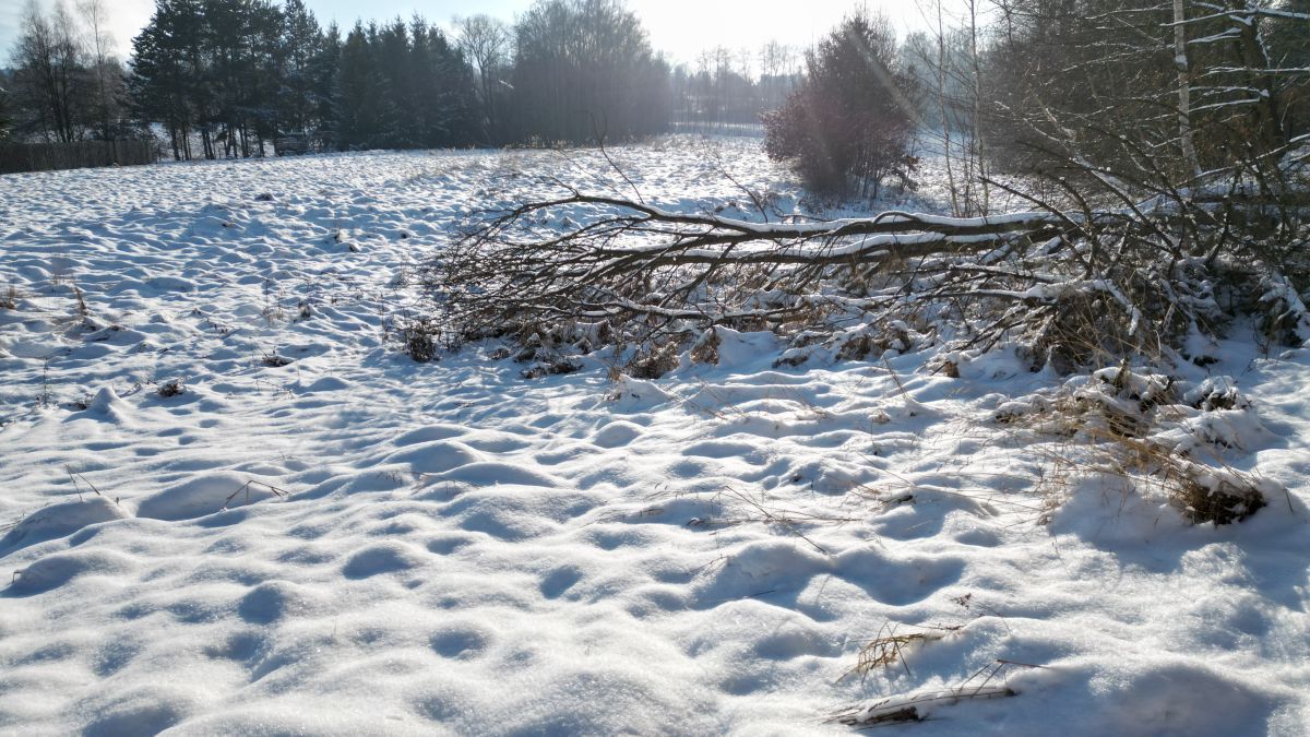 Działka inwestycyjna Libertów, ul. Zgodna. Zdjęcie 14
