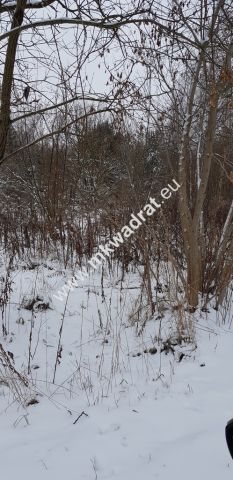 Działka inwestycyjna Marków-Towarzystwo. Zdjęcie 5