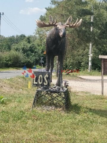 Działka rolno-budowlana Łoś. Zdjęcie 1