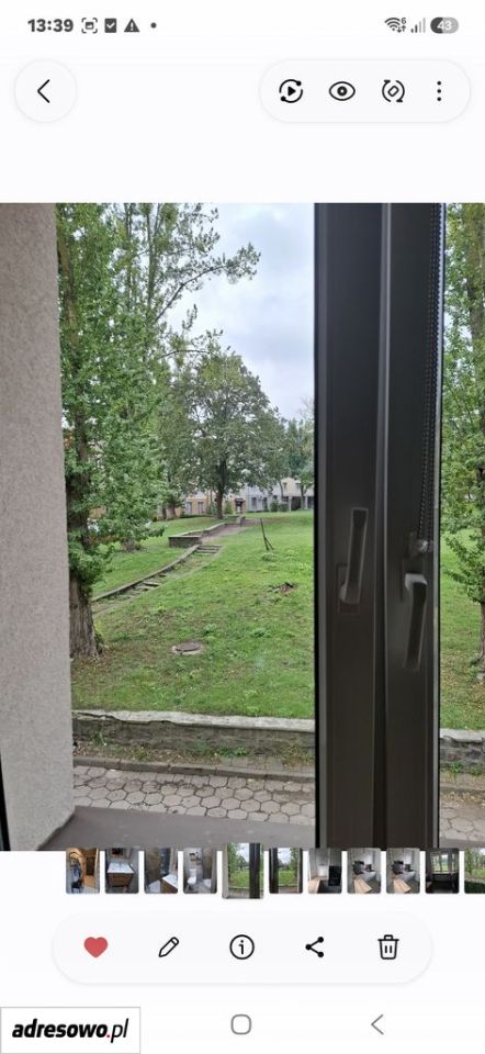 Zdjęcie 6