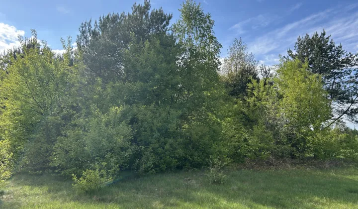 Działka budowlana Kolonia Ldzań