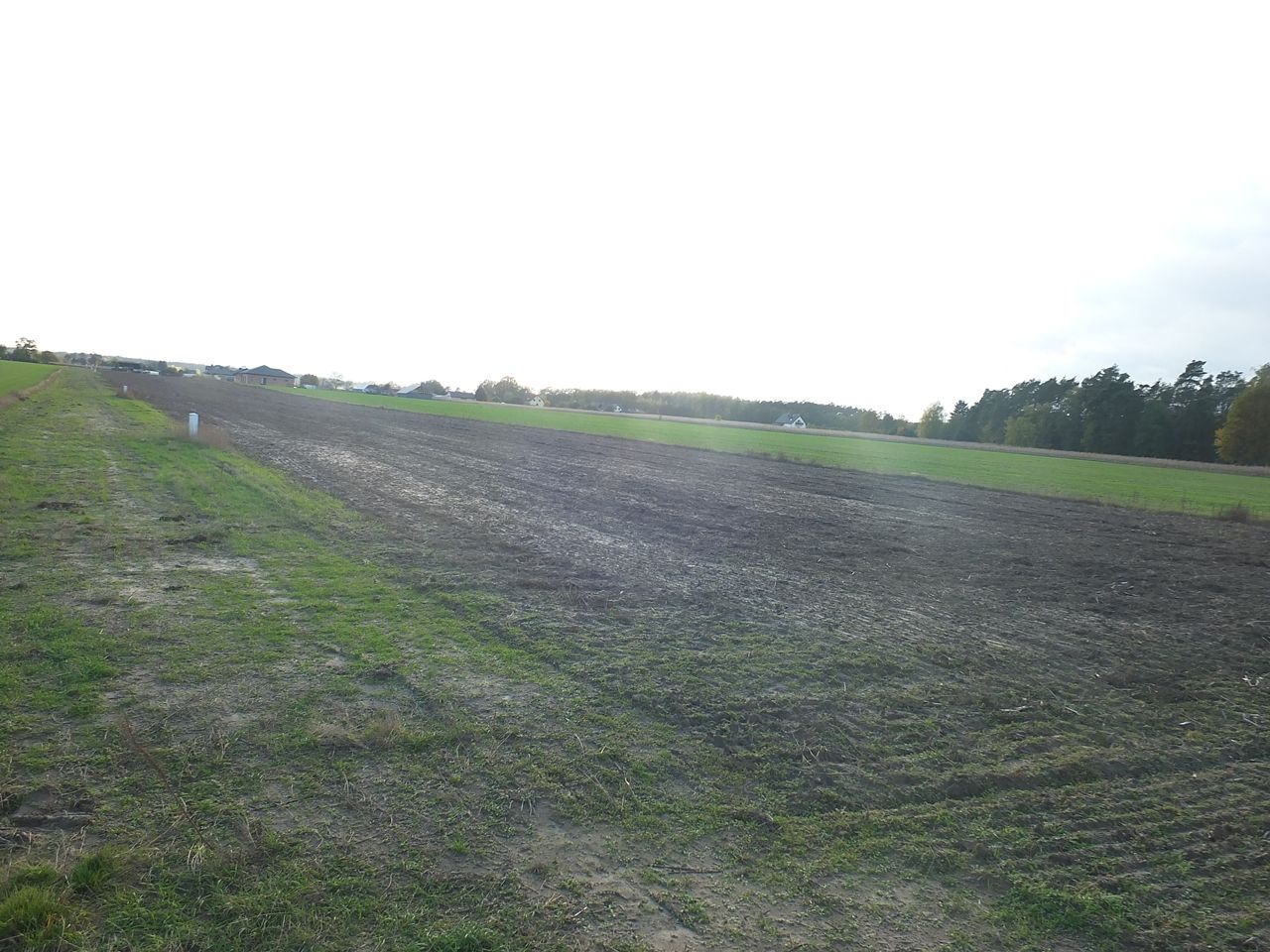 Działka budowlana Janów Ruszki. Zdjęcie 4