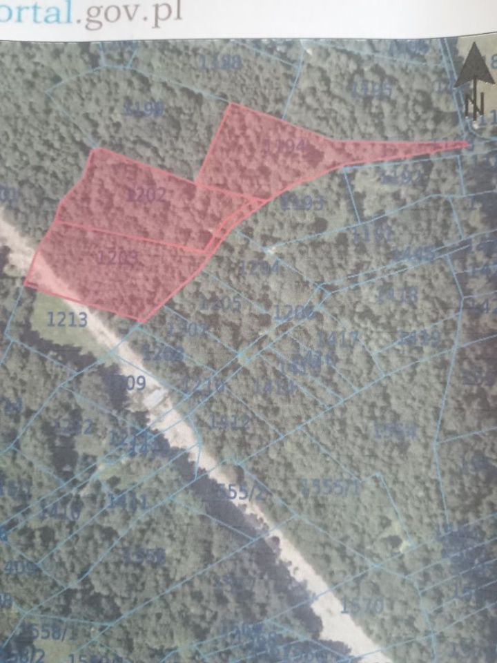 Działka leśna Domaradz. Zdjęcie 3