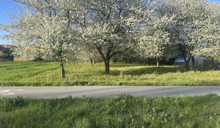 Działka budowlana Dęblin Michalinów, ul. Kwiatowa