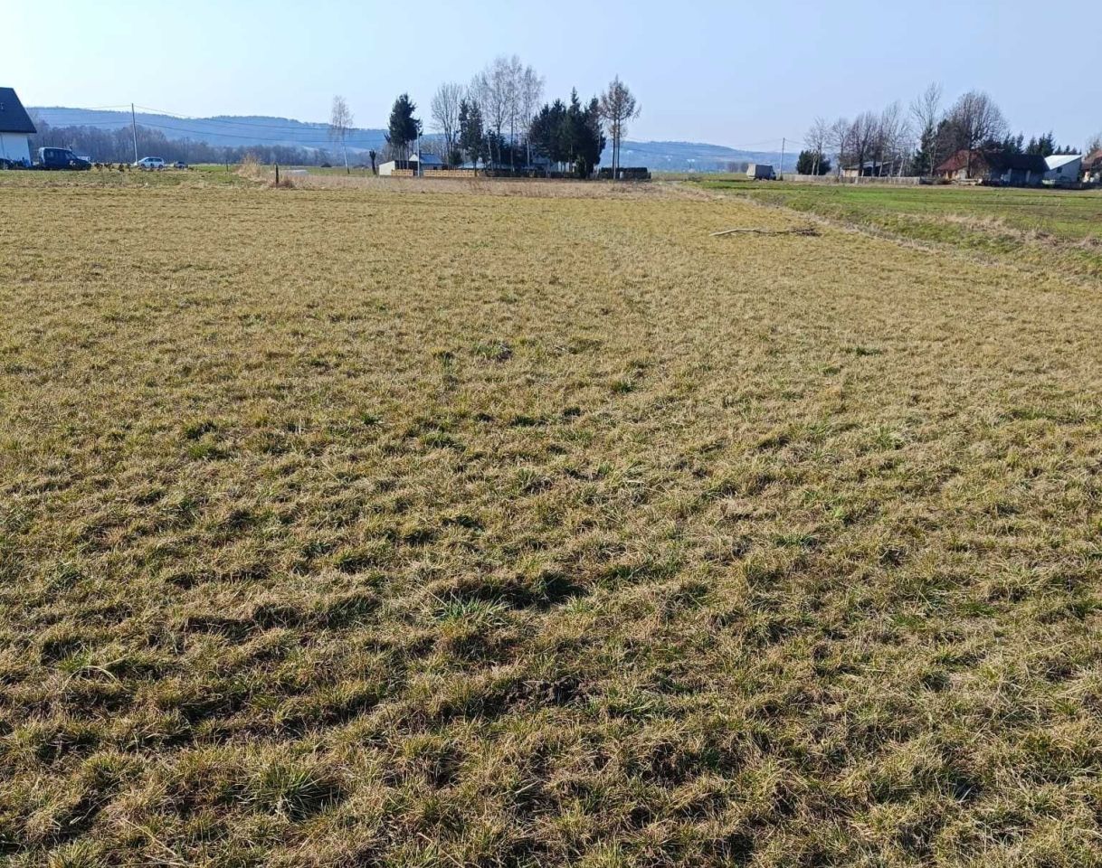 Działka budowlana Paszczyna. Zdjęcie 1