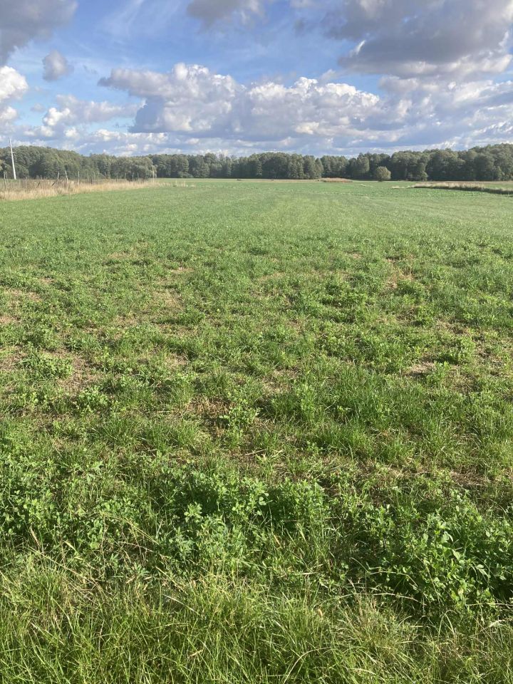 Działka budowlana Bronisławy. Zdjęcie 2