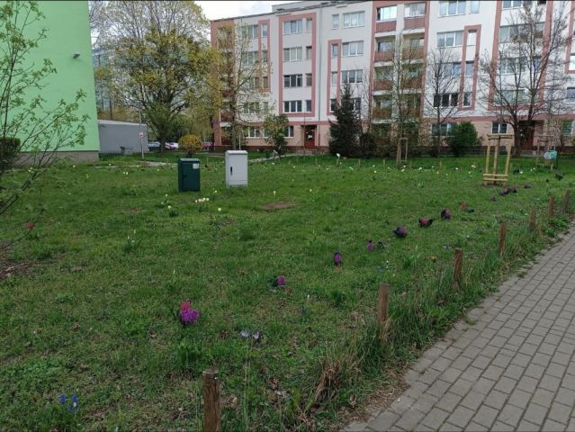 Mieszkanie 2-pokojowe Warszawa. Zdjęcie 1