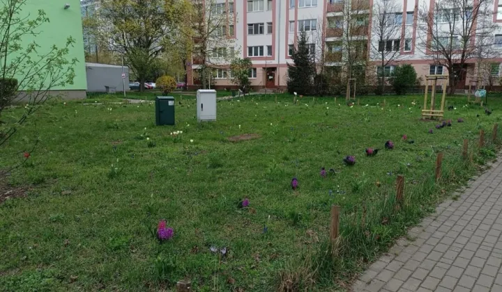 Mieszkanie 2-pokojowe Warszawa