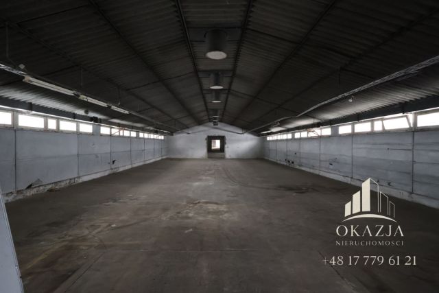 Lokal Wysoka Głogowska. Zdjęcie 14