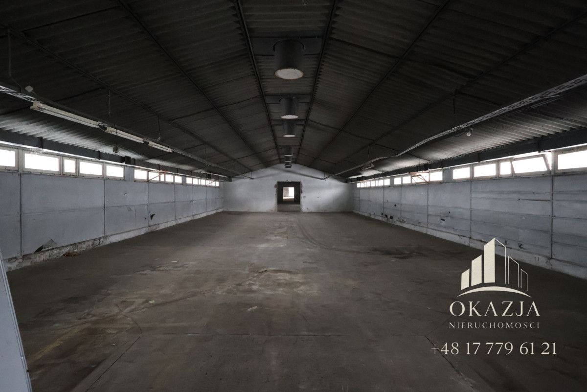 Lokal Wysoka Głogowska. Zdjęcie 14