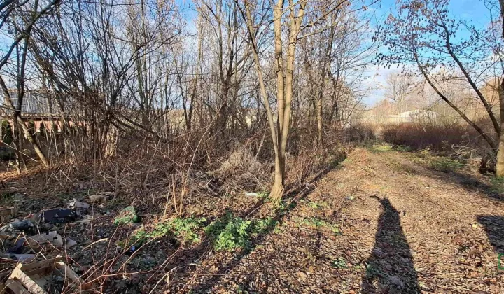 Działka inna Sosnowiec Ostrowy Górnicze, gen. Zygmunta Waltera Jankego