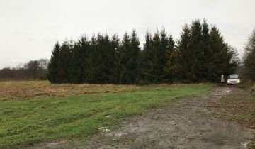 Działka rekreacyjna Karwieńskie Błoto Drugie