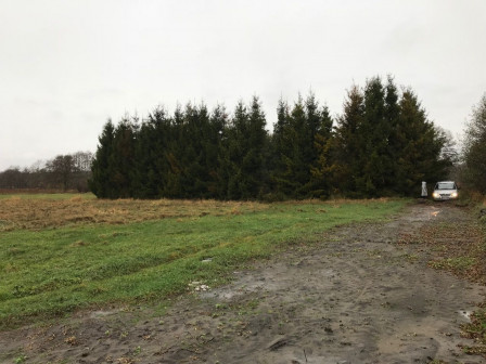 Działka rekreacyjna Karwieńskie Błoto Drugie