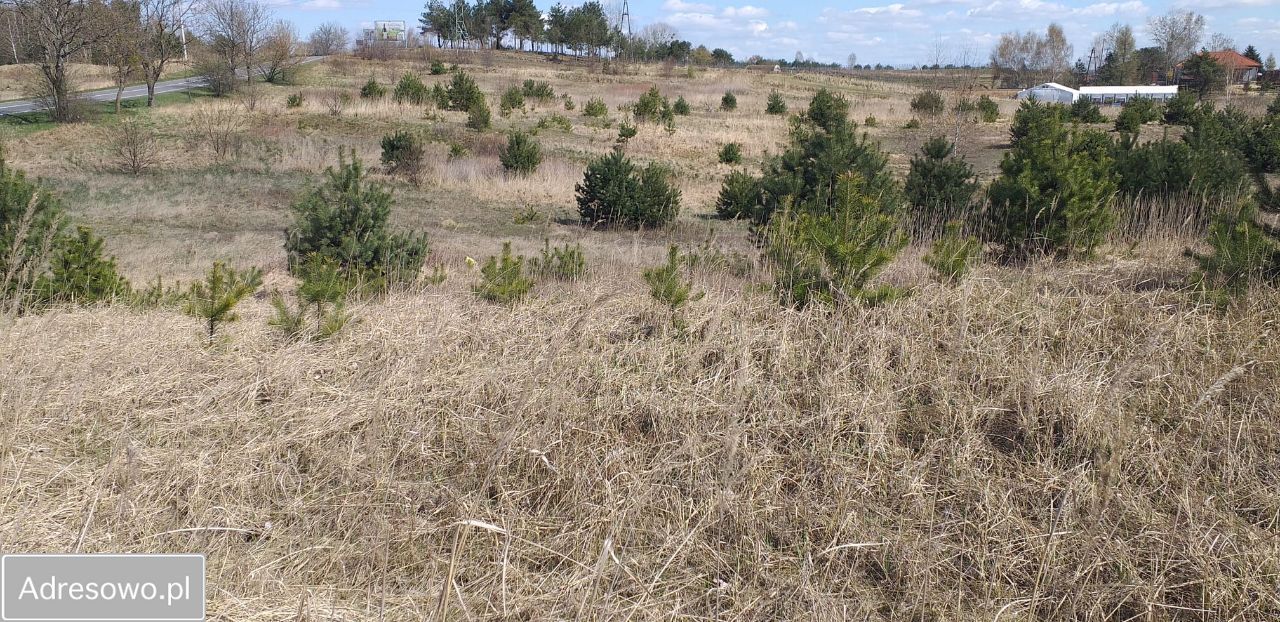 Działka budowlana Krzyżówki. Zdjęcie 4