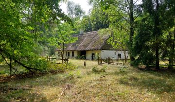 Działka siedliskowa Bukowiny