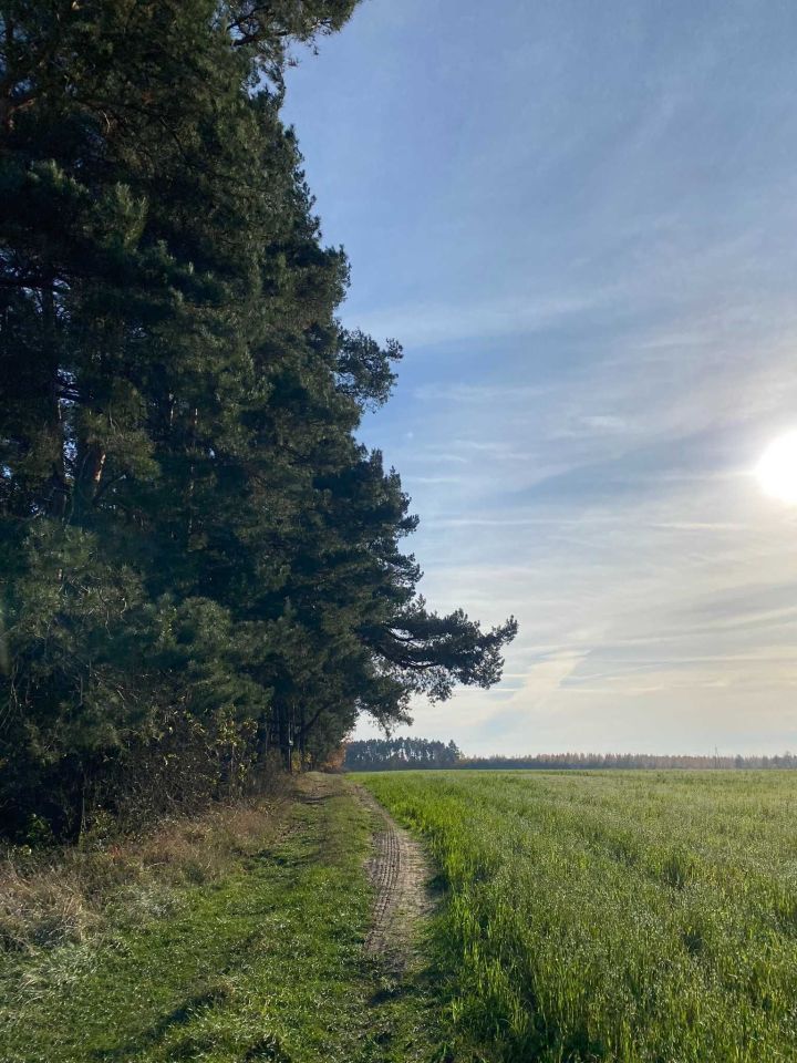 Działka budowlana Długie. Zdjęcie 6