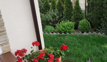 Działka rekreacyjna Poznań Ławica, ul. Bukowska
