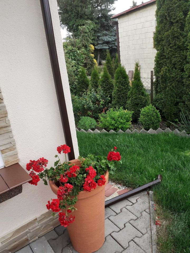 Działka rekreacyjna Poznań Ławica, ul. Bukowska