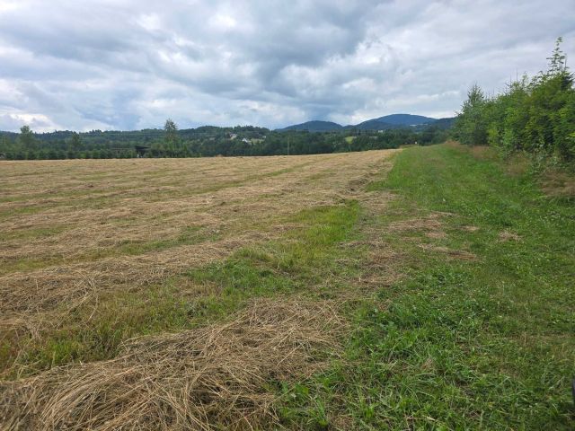 Działka budowlana Stróże. Zdjęcie 1