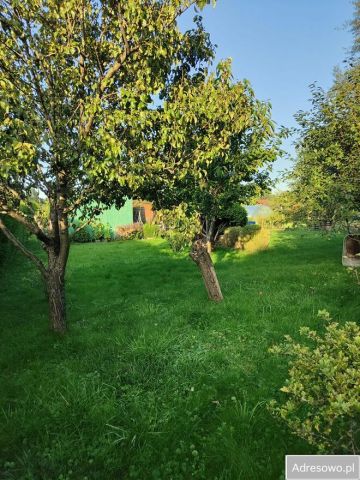 Działka rod Gdynia, ul. Hutnicza. Zdjęcie 1