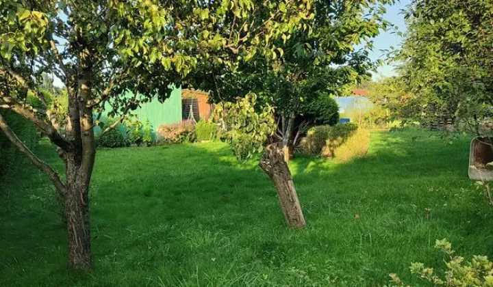 Działka rod Gdynia, ul. Hutnicza