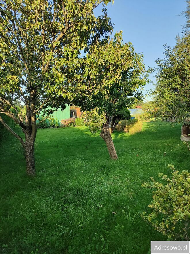 Działka rod Gdynia, ul. Hutnicza