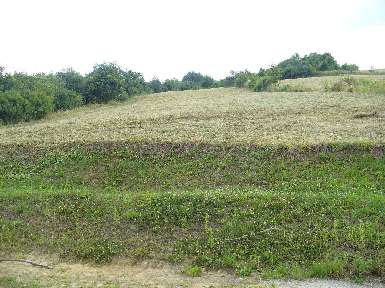 dom wolnostojący, 1 pokój Węgierka. Zdjęcie 4