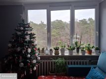 Mieszkanie 3-pokojowe Ustronie Morskie, ul. Wojska Polskiego. Zdjęcie 2