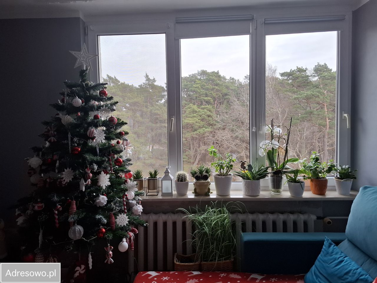 Mieszkanie 3-pokojowe Ustronie Morskie, ul. Wojska Polskiego. Zdjęcie 3