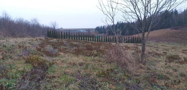 Działka rolno-budowlana Natalin, ul. Magiczna. Zdjęcie 1