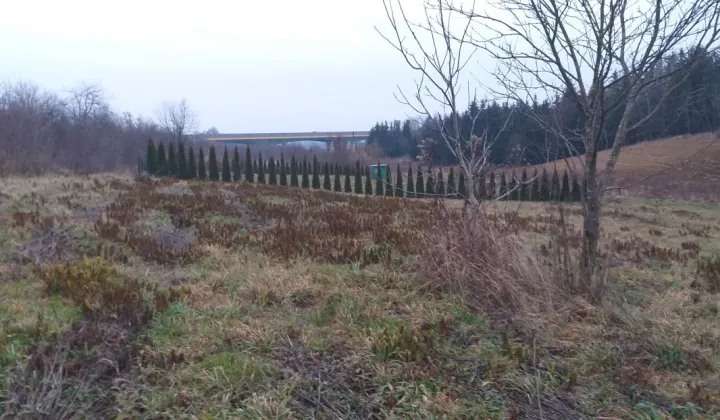 Działka rolno-budowlana Natalin, ul. Magiczna