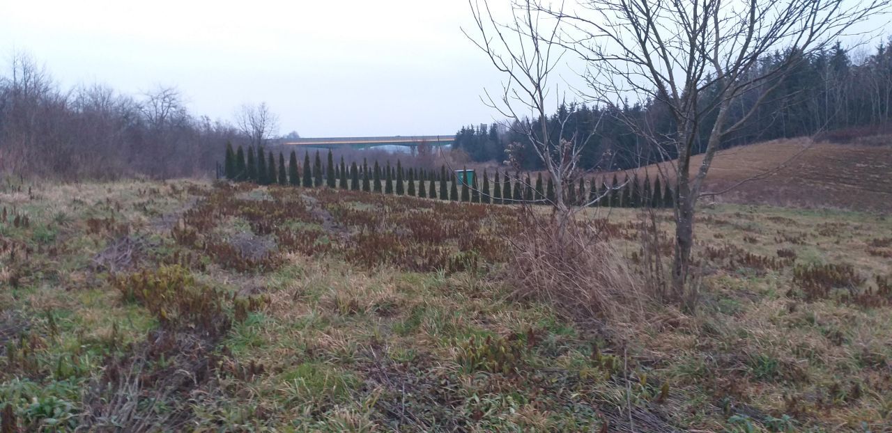 Działka rolno-budowlana Natalin, ul. Magiczna. Zdjęcie 1