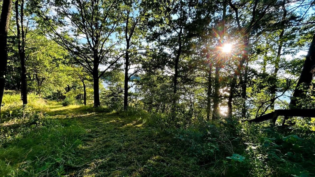 Działka rolno-budowlana Jabłonowo. Zdjęcie 10
