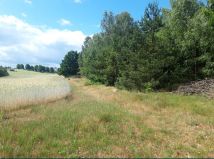 Działka rolna Łysinin. Zdjęcie 2