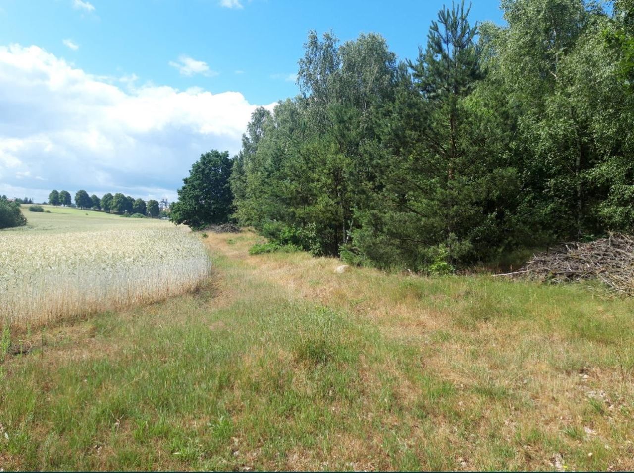 Działka rolna Łysinin. Zdjęcie 3