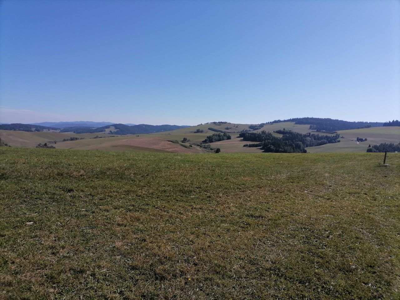 Działka Łapsze Niżne. Zdjęcie 7