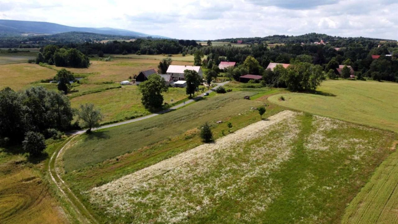 Działka budowlana Grudza. Zdjęcie 3