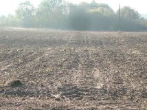 Działka rolna Strużyna. Zdjęcie 4